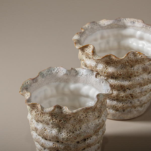 Nautilus Pot / Large