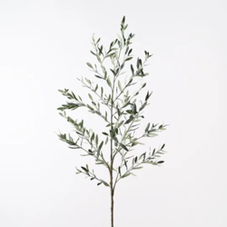 Olive Leaf Branch 180cm / Green