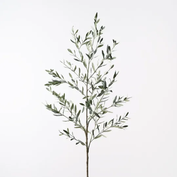 Olive Leaf Branch 180cm / Green