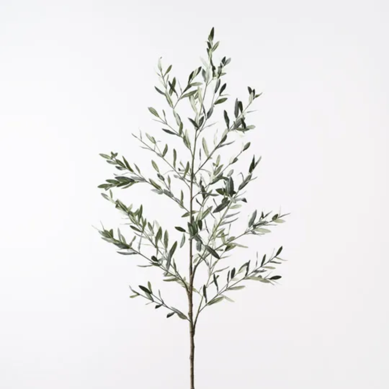 Olive Leaf Branch 180cm / Green