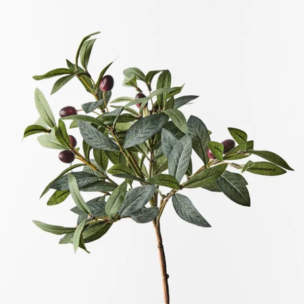 Olive Leaf Pick 40cm / Grey Green