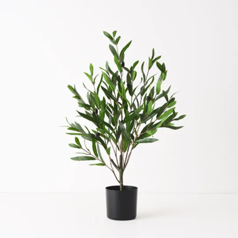 Olive Tree 73cm / Green