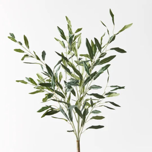 Olive Leaf Bush 58cm / Green