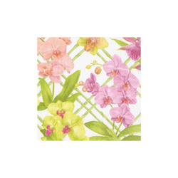 Cocktail Napkins / Karen Kluglein Orchid Conservatory