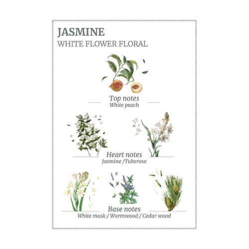 Body Lotion / Precious Jasmine