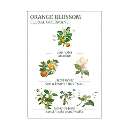 Scented Candle / Orange Blossom