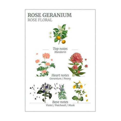 Hand Cream / Rose Geranium