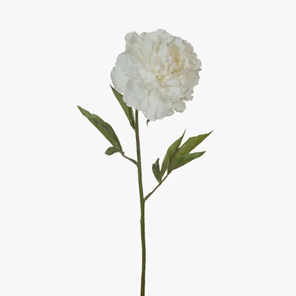 Peony 70cm / White