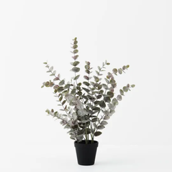 Eucalyptus Bush Pot 53cm / Grey