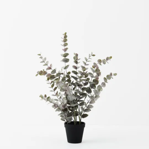 Eucalyptus Bush Pot 53cm / Grey