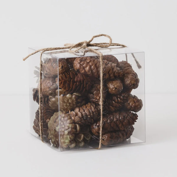 Pine Cone Mix in Box / Brown