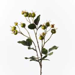 Rosehip Spray 66cm / Green