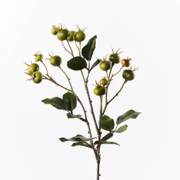 Rosehip Spray 66cm / Green