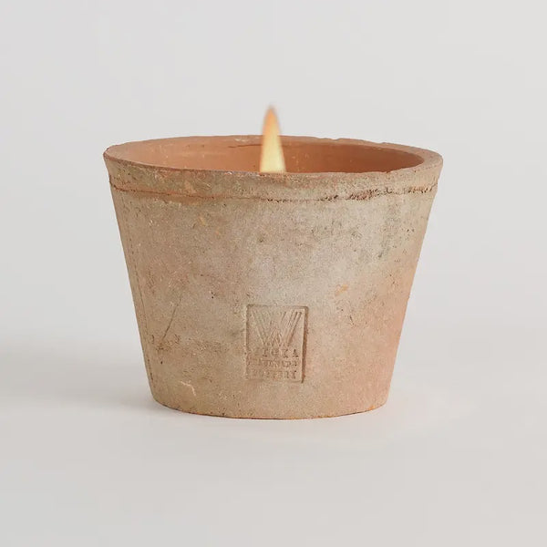 Candela Rustica / Large