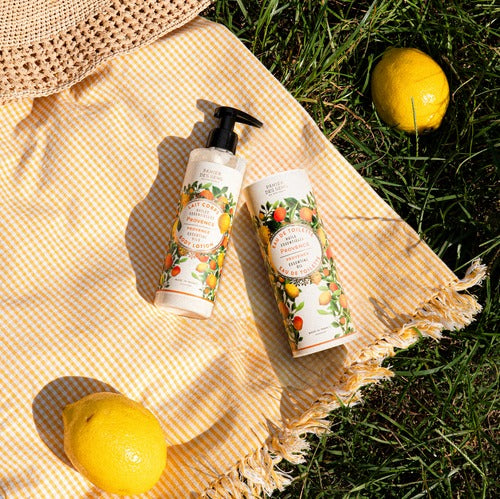 Body Lotion / Provence