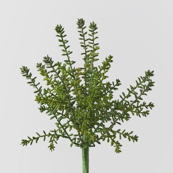 Sedum bush 36cm / Green