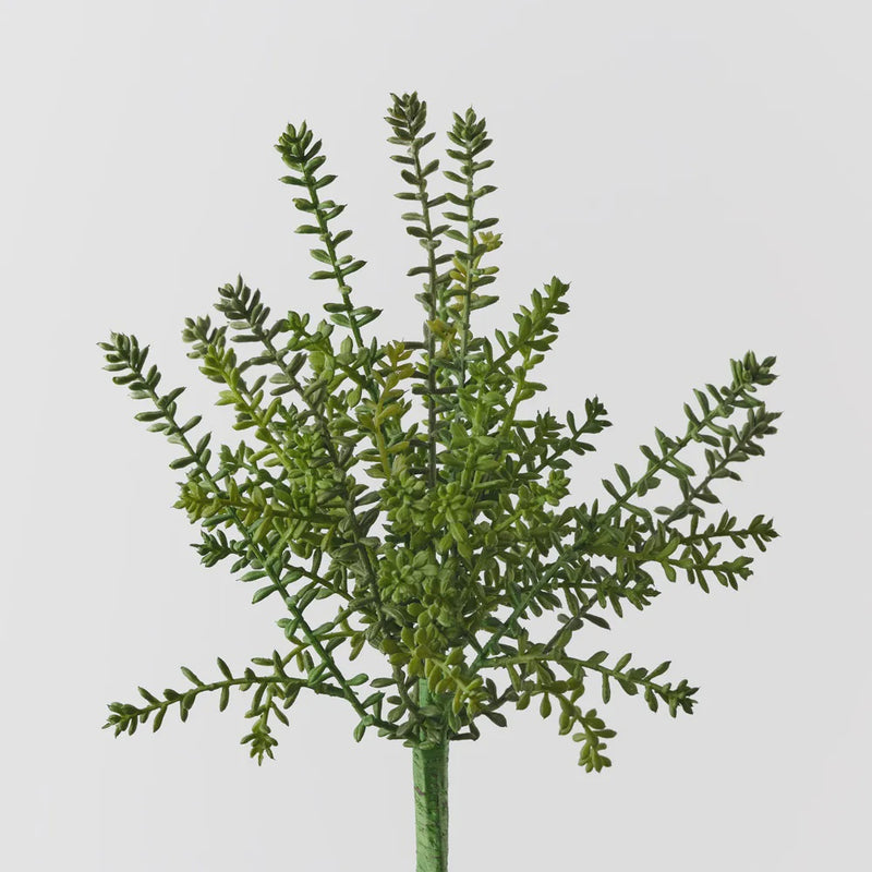 Sedum bush 36cm / Green