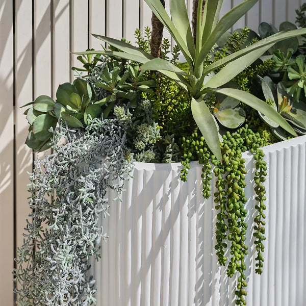 Sedum bush 36cm / Green