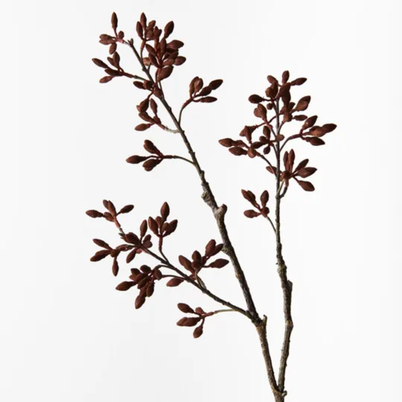 Simplex Seed Spray 70cm / Chocolate Brown