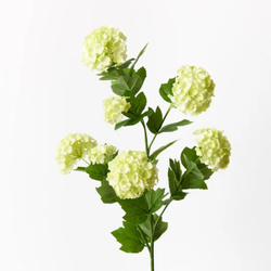 Snowball Spray 78cm / Light Green