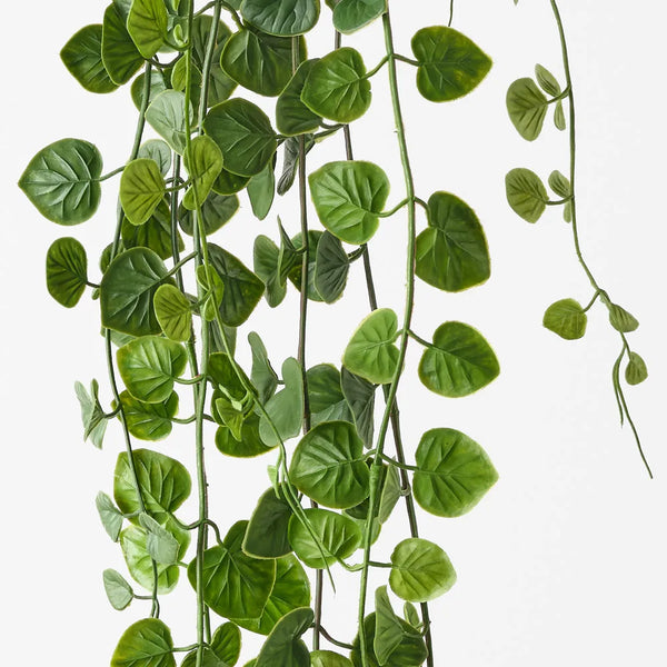 String of Hearts Hanging Bush 71cm / Green