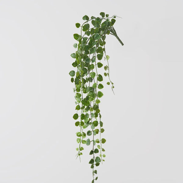 String of Hearts Hanging Bush 71cm / Green