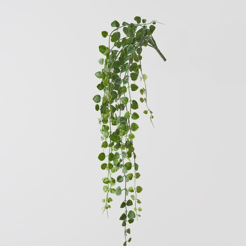 String of Hearts Hanging Bush 71cm / Green