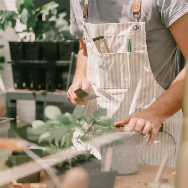 The Apron / Laurens Sage Stripe