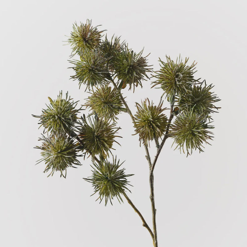 Thistle Globe Spray 68cm / Olive