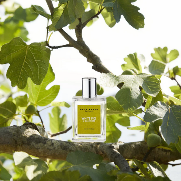 White Fig + Cashmere EDP / 10mml