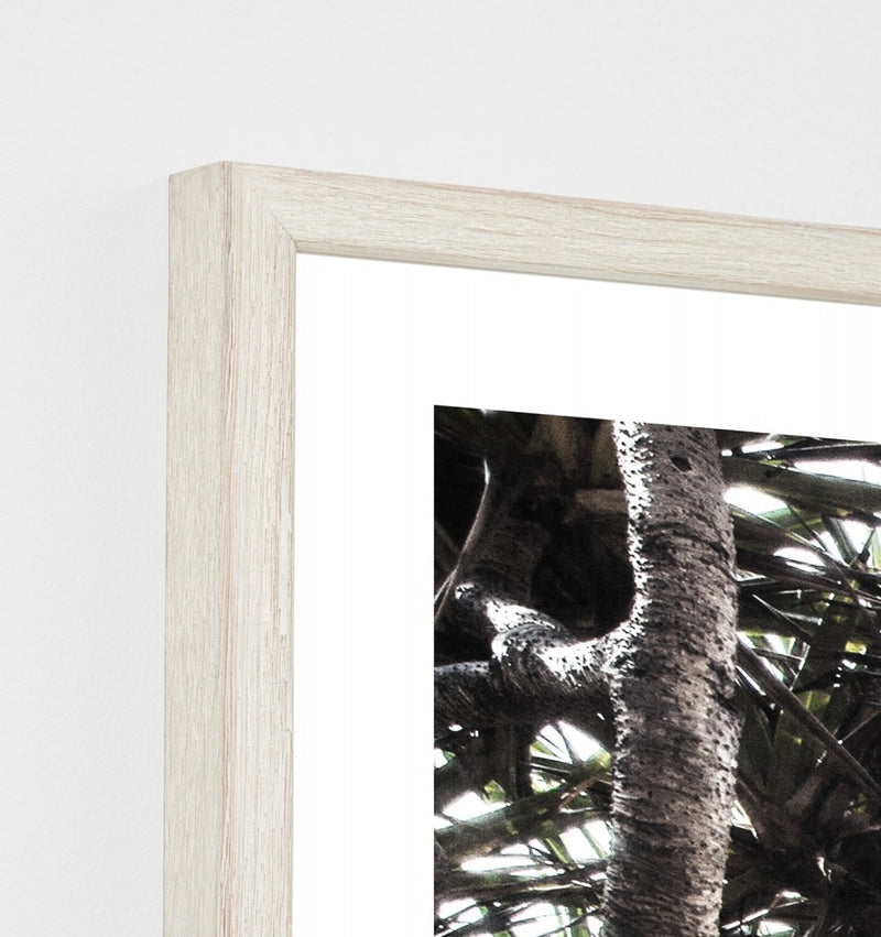 Along The Coast Print
