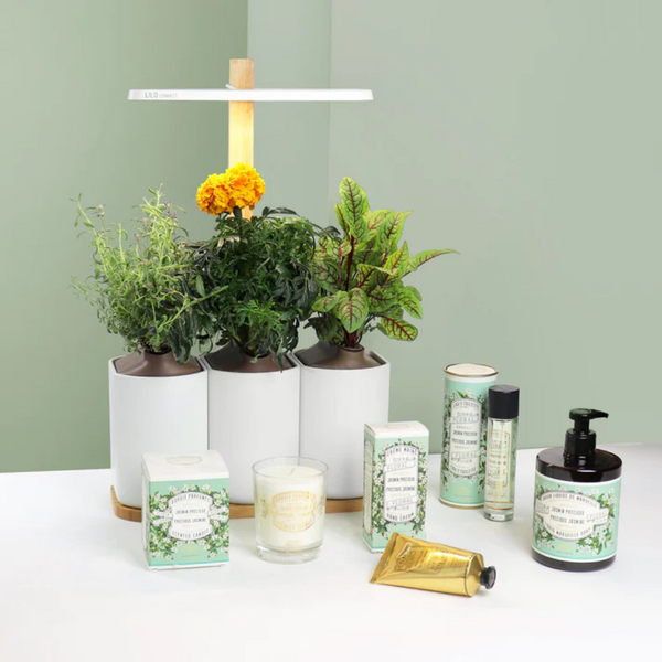 Scented Candle / Precious Jasmine
