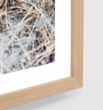Beach Grass Print / 113 x 69cm