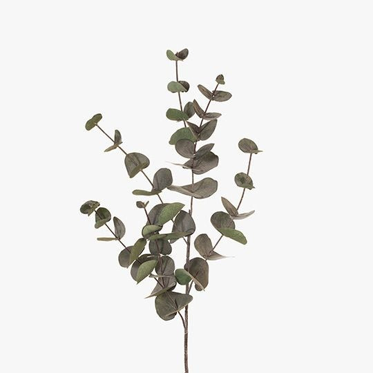 Eucalyptus Silver Dollar 86cm / Dark Green