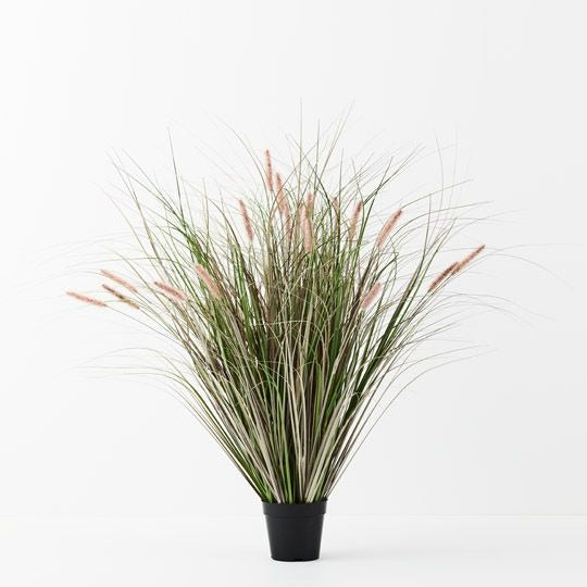 Foxtail Grass Plant / Mauve Green