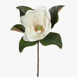 Magnolia 74cm / White