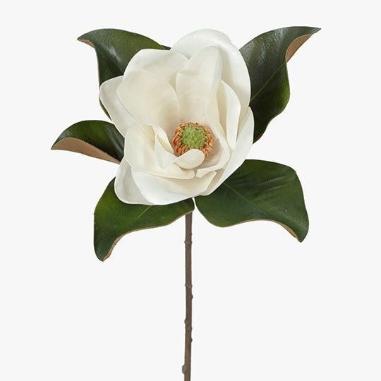 Magnolia 74cm / White