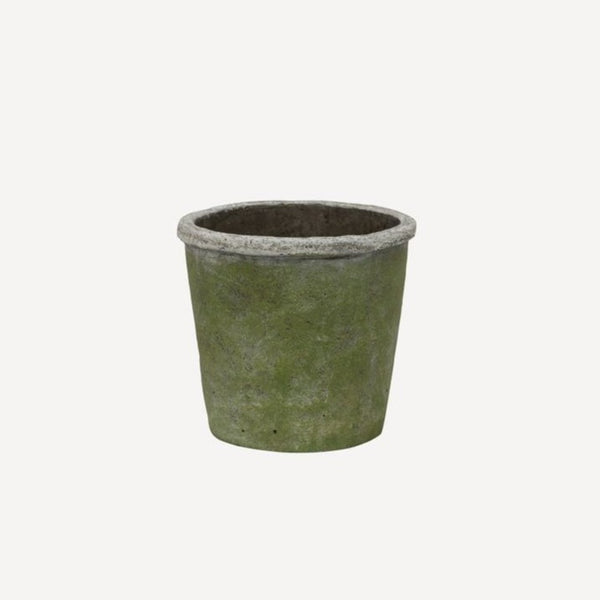 Evergreen Plant Pot / Small