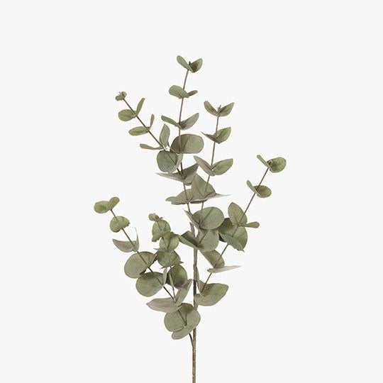Eucalyptus Silver Dollar 86cm / Forest Green