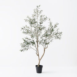 Olive Tree 213cm / Grey Green