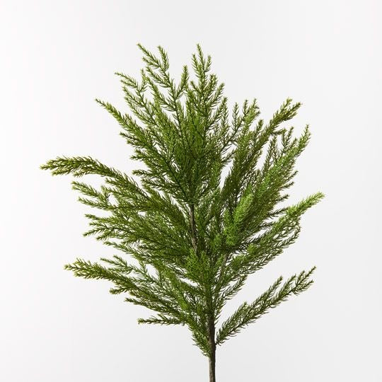 Pine Cypress Spray 66cm / Green