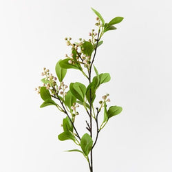 Seed Spray / Pink Green