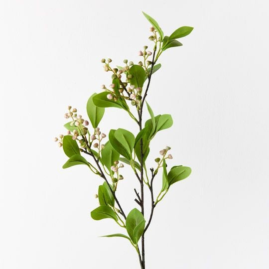 Seed Spray / Pink Green