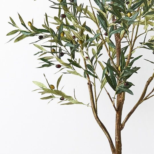 Olive Tree 213cm / Green