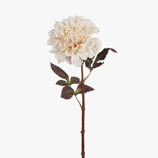 Dahlia 57cm / Ivory
