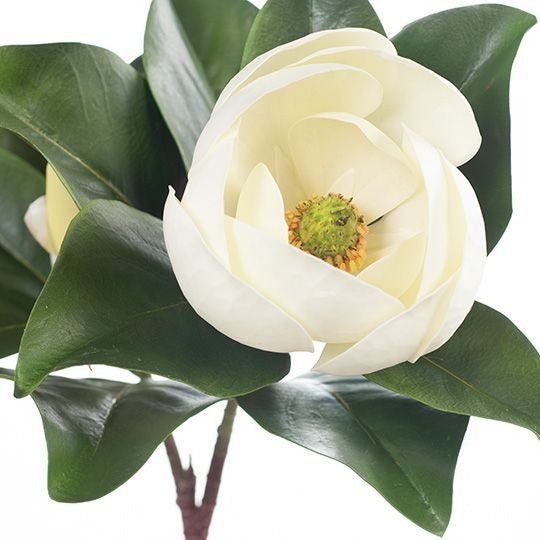 Magnolia Spray 80cm / White