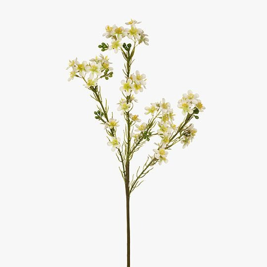 Wax Flower 57cm / White Green
