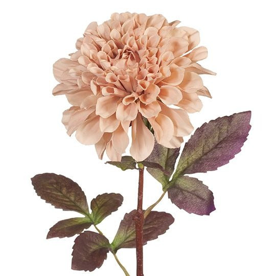 Dahlia 57cm / Blush