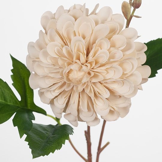 Dahlia Hillcrest 49cm / Ivory