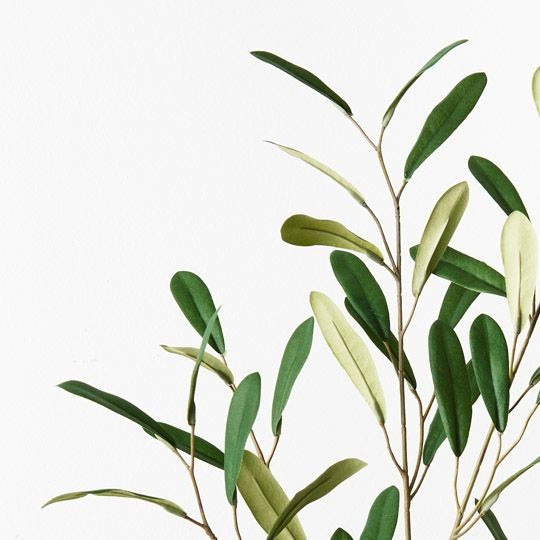 Olive Leaf Spray 92cm  / Green